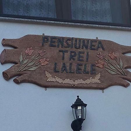 Pensiunea Trei Lalele Moisei Zewnętrze zdjęcie