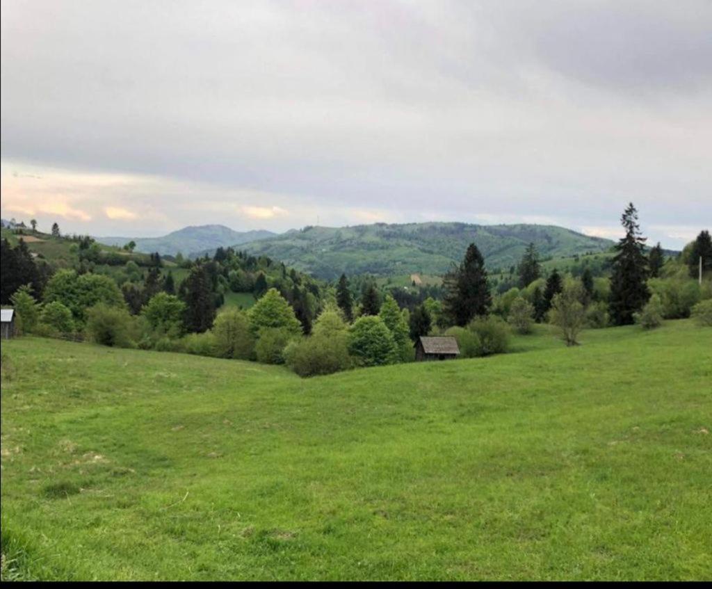 Pensiunea Trei Lalele Moisei Zewnętrze zdjęcie
