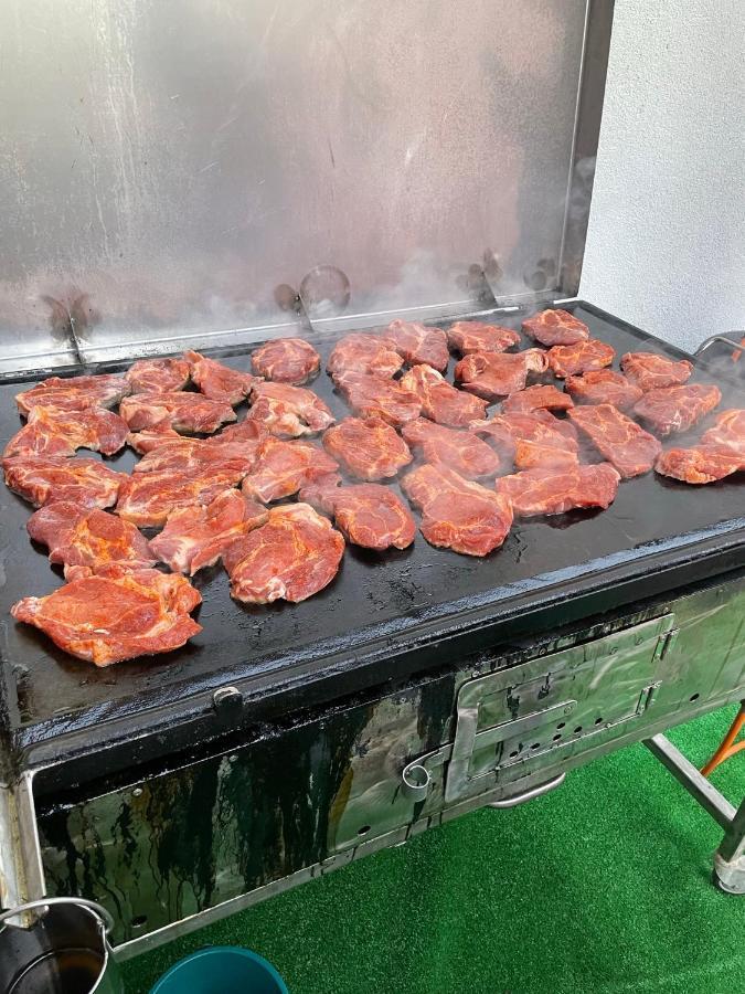 Pensiunea Trei Lalele Moisei Zewnętrze zdjęcie