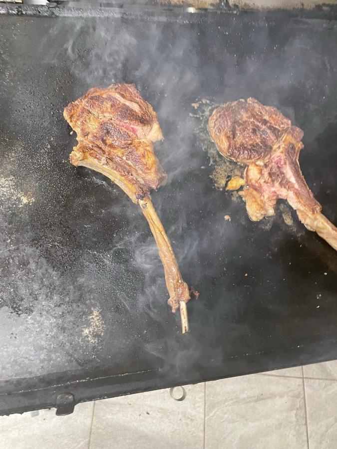 Pensiunea Trei Lalele Moisei Zewnętrze zdjęcie